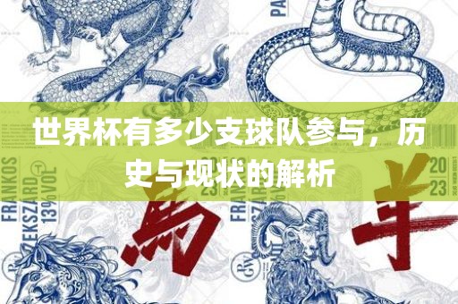 世界杯有多少支球队参与，历史与现状的解析