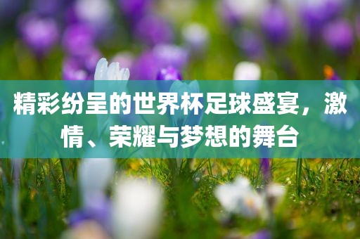 精彩纷呈的世界杯足球盛宴，激情、荣耀与梦想的舞台