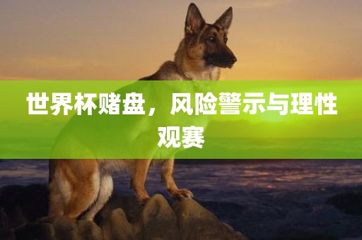 世界杯赌盘，风险警示与理性观赛眉山市正发家政服务有限公司