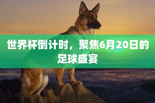 世界杯倒计时，聚焦6月20日的足球盛宴