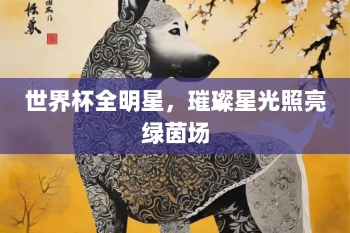世界杯全明星，璀璨星光照亮绿茵场眉山市正发家政服务有限公司