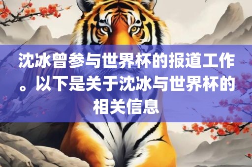 沈冰曾参与世界杯的报道工作。以下是关于沈冰与世界杯的相关信息