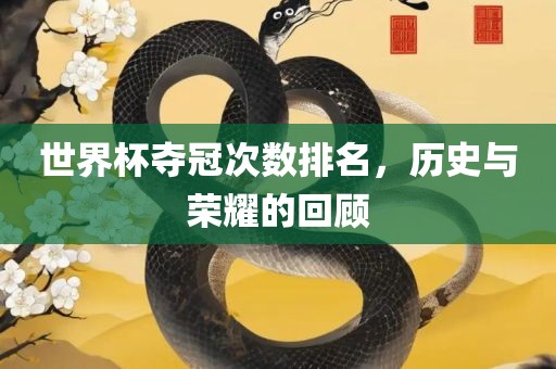 世界杯夺冠次数排名，历史与荣耀的回顾
