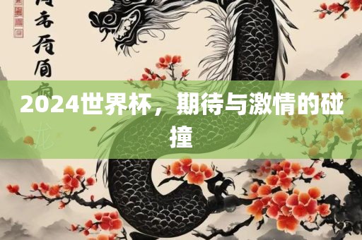 2024世界杯，期待与激情的碰撞