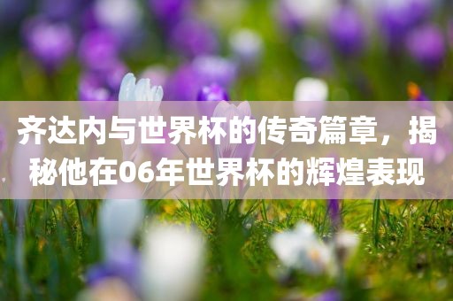 齐达内与世界杯的传奇篇章，揭秘他在06年世界杯的辉煌表现