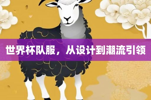 世界杯队服，从设眉山市正发家政服务有限公司计到潮流引领