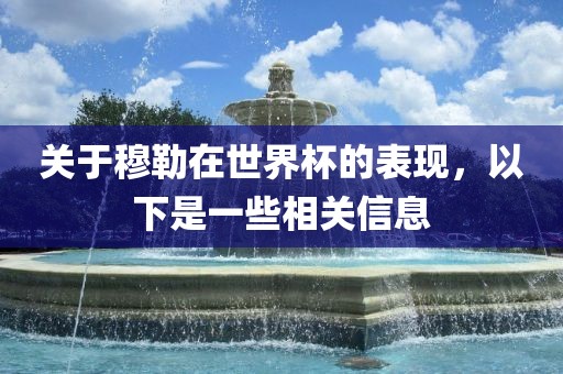 世界杯表现 第8页
