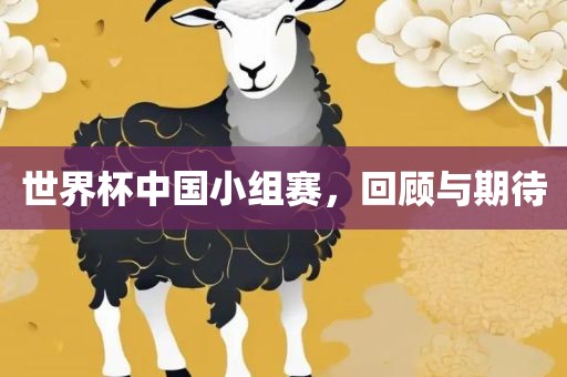 回顾与期待 第2页