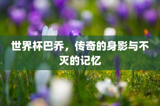 世界杯巴乔，传奇的身影与不灭的记忆眉山市正发家政服务有限公司