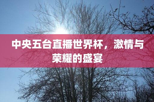 中央五台直播世界杯，激眉山市正发家政服务有限公司情与荣耀的盛宴