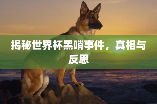 揭秘世界杯黑哨事件，真相与反思眉山市正发家政服务有限公司