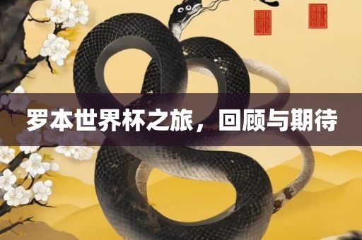 罗本世界眉山市正发家政服务有限公司杯之旅，回顾与期待
