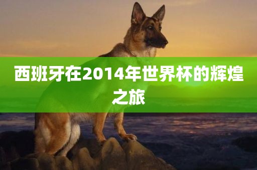 西班牙在2014年世界杯的辉煌之旅眉山市正发家政服务有限公司