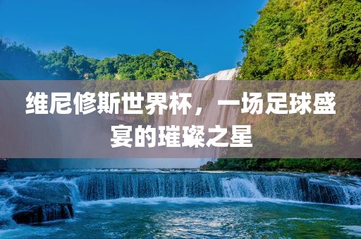 维尼修斯世界杯，一场足球盛宴的璀璨之星眉山市正发家政服务有限公司