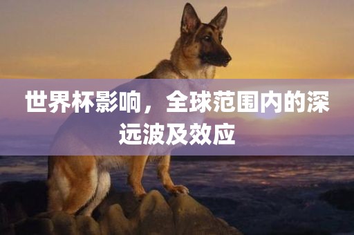世界杯影响，全球范围内眉山市正发家政服务有限公司的深远波及效应