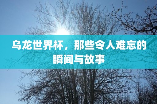 乌龙世界杯，那些令人难忘的瞬间与故事眉山市正发家政服务有限公司