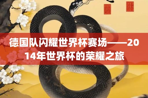 德国队闪耀世界杯赛场——2014年世界杯的荣耀之旅