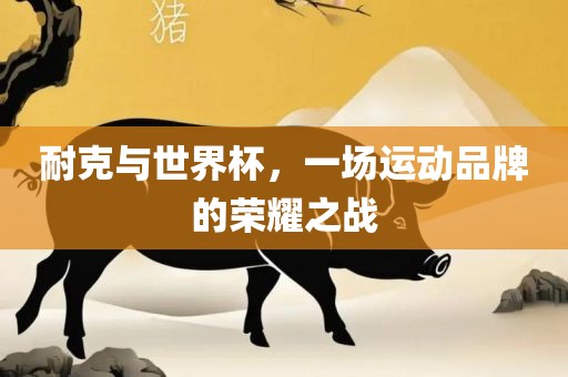 耐克与世界杯，一场运动品牌的荣耀之战眉山市正发家政服务有限公司