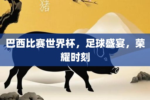 巴西比赛世界杯，足球盛宴，荣耀时刻眉山市正发家政服务有限公司