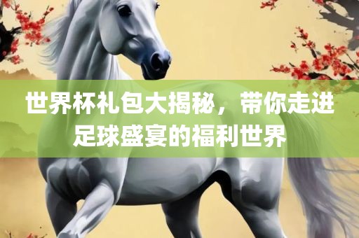 世界杯礼包大揭秘，带你走进足球盛宴的福利世界眉山市正发家政服务有限公司