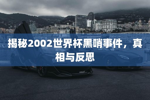 揭秘2002世界杯黑哨事件，真相与反思眉山市正发家政服务有限公司