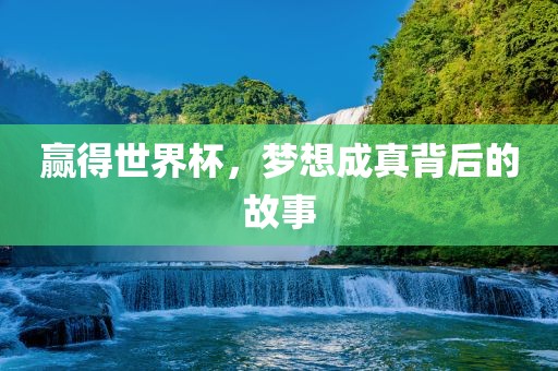 赢得世界杯，梦想成真背后的故事眉山市正发家政服务有限公司