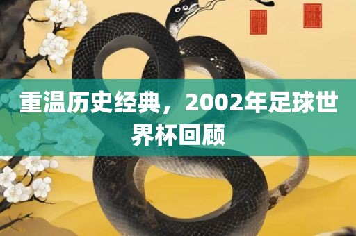 重温历史经典，2002年足球眉山市正发家政服务有限公司世界杯回顾