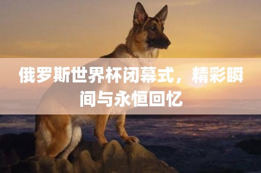 俄罗斯世界杯闭幕式，精彩瞬间眉山市正发家政服务有限公司与永恒回忆