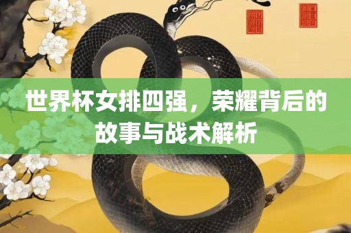 世界杯女排四强，荣耀背后的故事与战术解析眉山市正发家政服务有限公司