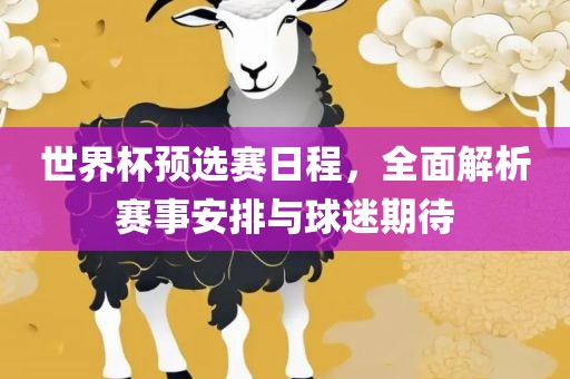 世界杯预选赛日程，全面解析赛事安排与球迷期待