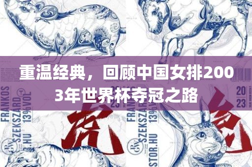 重温经典，回顾中国女排2003年世界杯夺冠之路眉山市正发家政服务有限公司