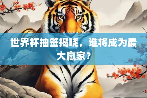 世界杯抽签揭晓，谁将成为最大赢家？