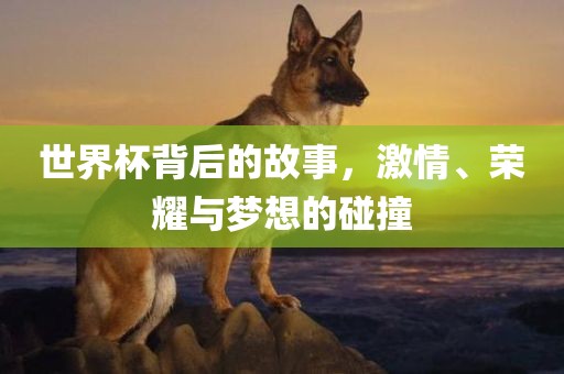 世界杯背后的故事，激情、荣耀与梦想的碰撞