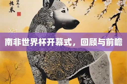 南非世界杯开幕式，回顾与前瞻