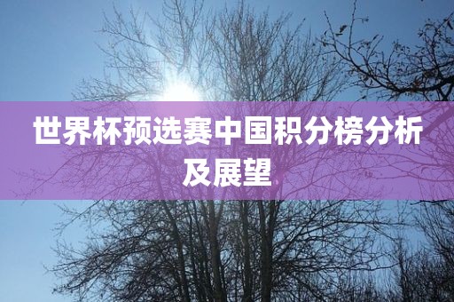 世界杯预选赛中国积分榜分析及展望眉山市正发家政服务有限公司