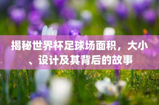 揭秘世界杯足球场面积，大小、设计及其背后的故事