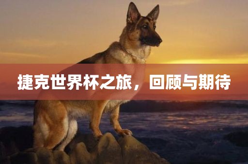 捷克世界杯之旅，回顾与期待