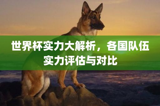 世界杯眉山市正发家政服务有限公司实力大解析，各国队伍实力评估与对比