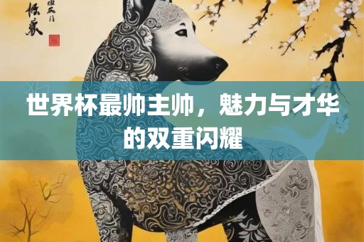 世界杯最帅主帅，魅力与才华的双重闪耀眉山市正发家政服务有限公司