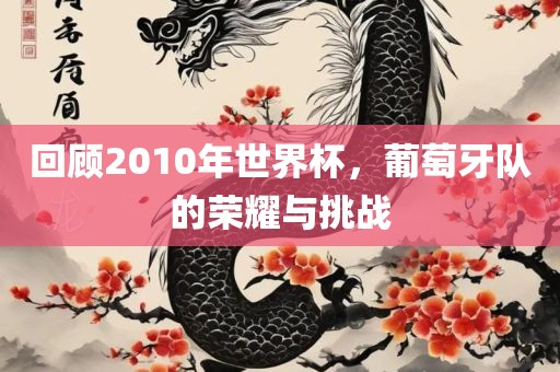 回顾2010年世界杯眉山市正发家政服务有限公司，葡萄牙队的荣耀与挑战