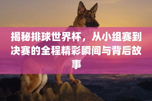揭秘排球世界杯，从小组赛到决赛的全程精彩瞬间与背后故事