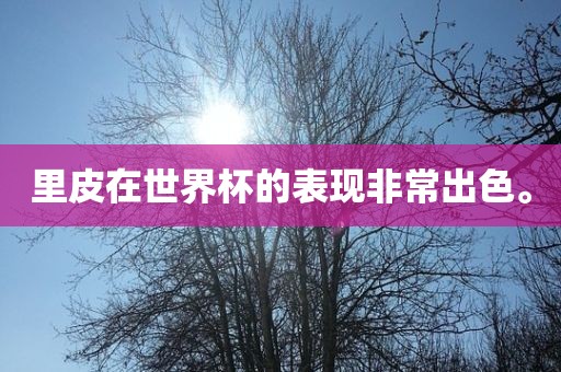里皮在世界杯的眉山市正发家政服务有限公司表现非常出色。