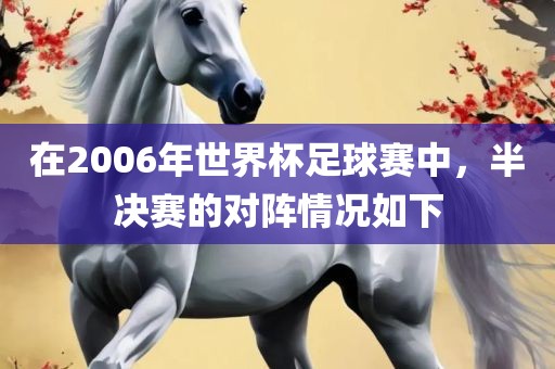 在2006年世界杯足球赛中，半决赛的对阵情况如下眉山市正发家政服务有限公司