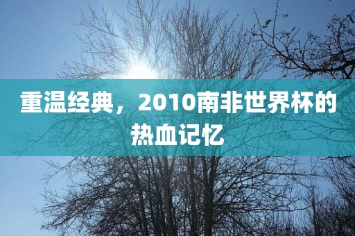 重温经典，2010南非世界杯的热血记忆