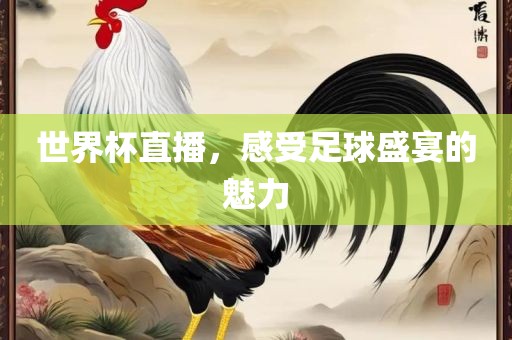 世界杯直播，感受足球盛宴的魅力眉山市正发家政服务有限公司