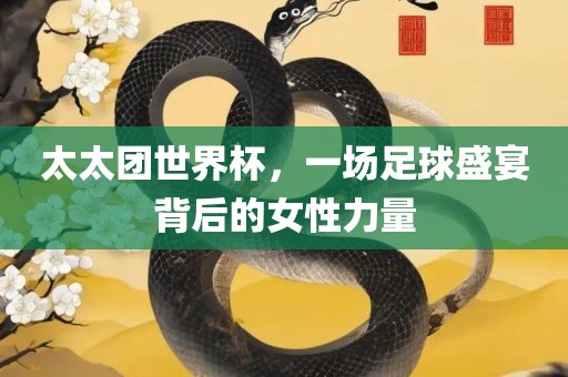 太太团世界杯，一场足球盛宴背后的女性力量眉山市正发家政服务有限公司