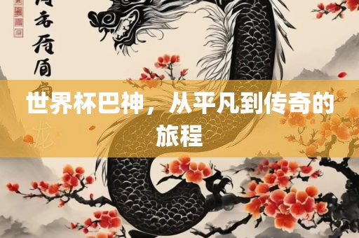 世界杯巴神，从平凡到传奇的旅程眉山市正发家政服务有限公司
