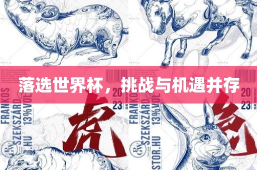 落选世界杯，挑战与机遇眉山市正发家政服务有限公司并存