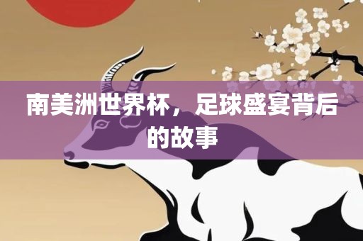 南美洲世界杯，足球盛宴背后的故事眉山市正发家政服务有限公司
