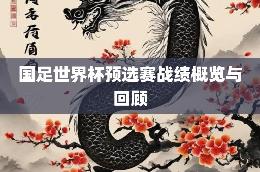 国足世界杯预选赛战绩概览与回顾